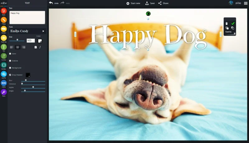 Various Fonts, online batch photo editing, web-based graphic design, online text on photo tool
