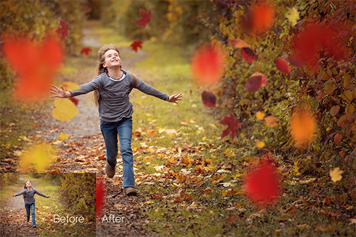 autumn leaves overlays