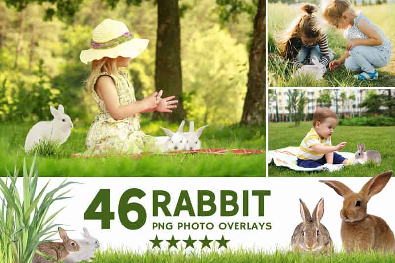 Rabbit png effect