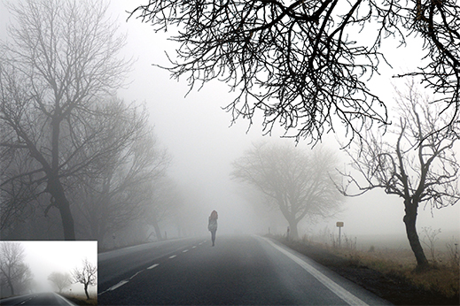 Bare trees overlays