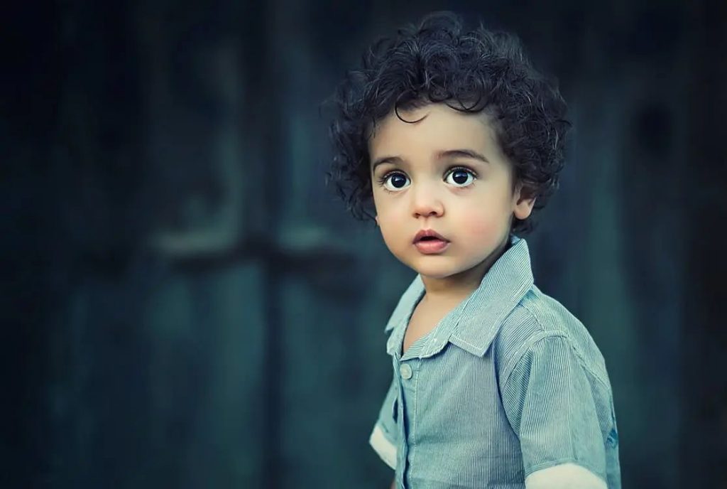 Portrait Editing Software, smart portrait, portrait photo editing software, portrait retouching software, widsmob