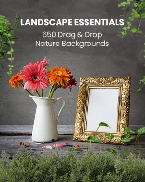 landscape photography essentials, a framed mirror and a white flower vase