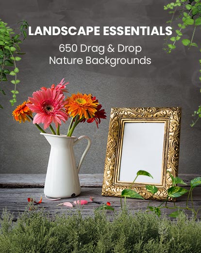 landscape photography essentials, a framed mirror and a white flower vase
