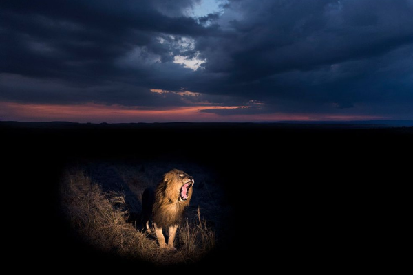 ultimate photography composition masterclass
