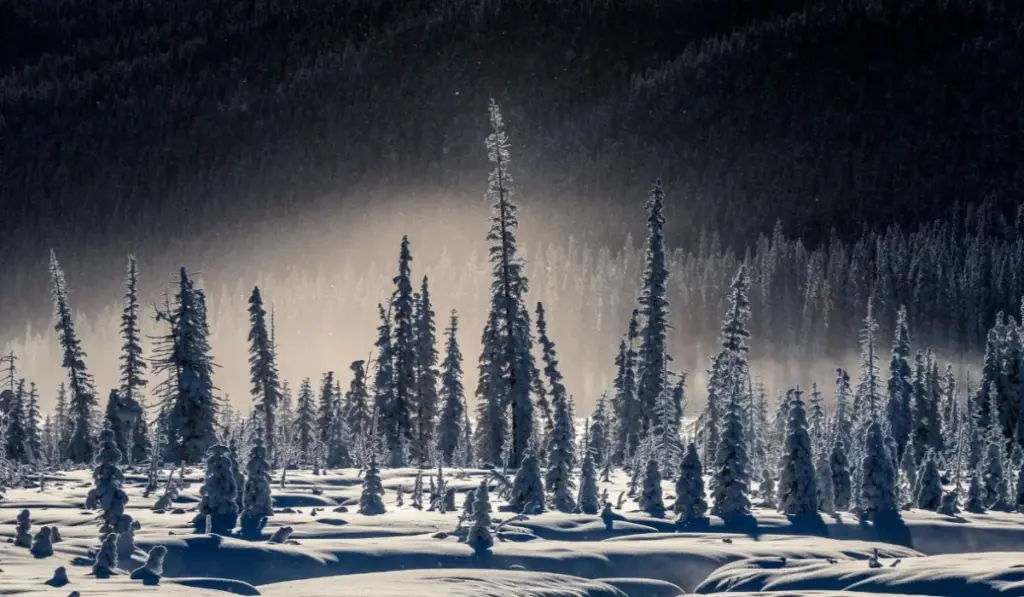 photography composition course, photography composition class