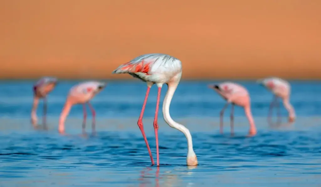 best composition course for photographers, learn composition from expert