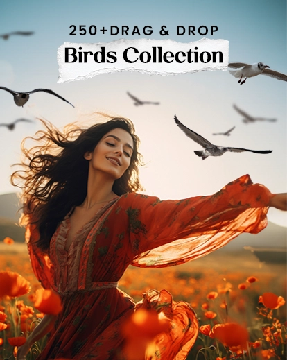 Transparent birds