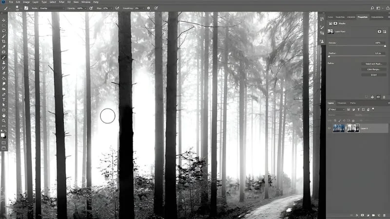 Masking in Photoshop, photoshop layer masking course, digital photo montage course
