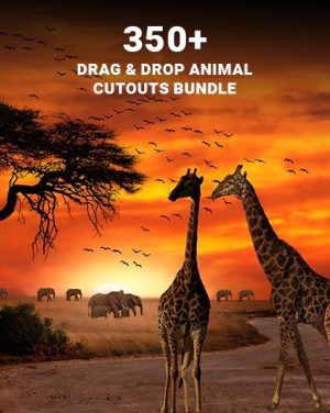 animal cutouts featured image