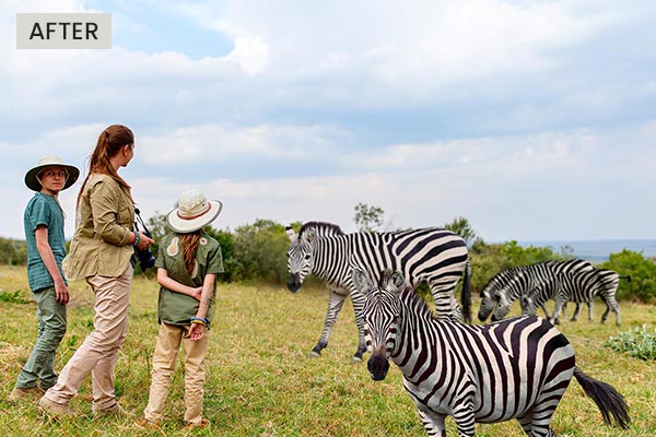 A composite image created with digital animal cutouts