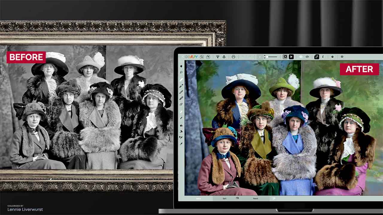 Colorizer pro before after preview