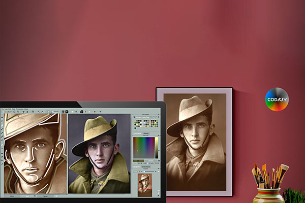 Colorizer pro preview image