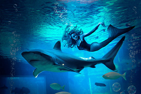 Girl swimming with fishes