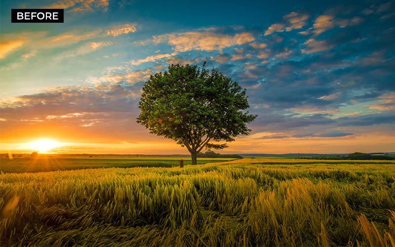 A sunset landscape