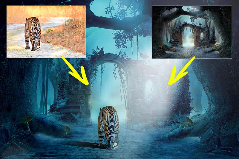 Composite of a tiger in a dark forest