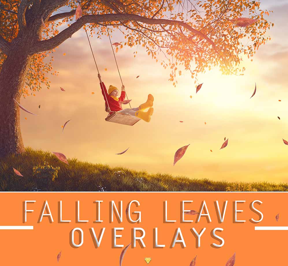 falling leaves camera raw presets