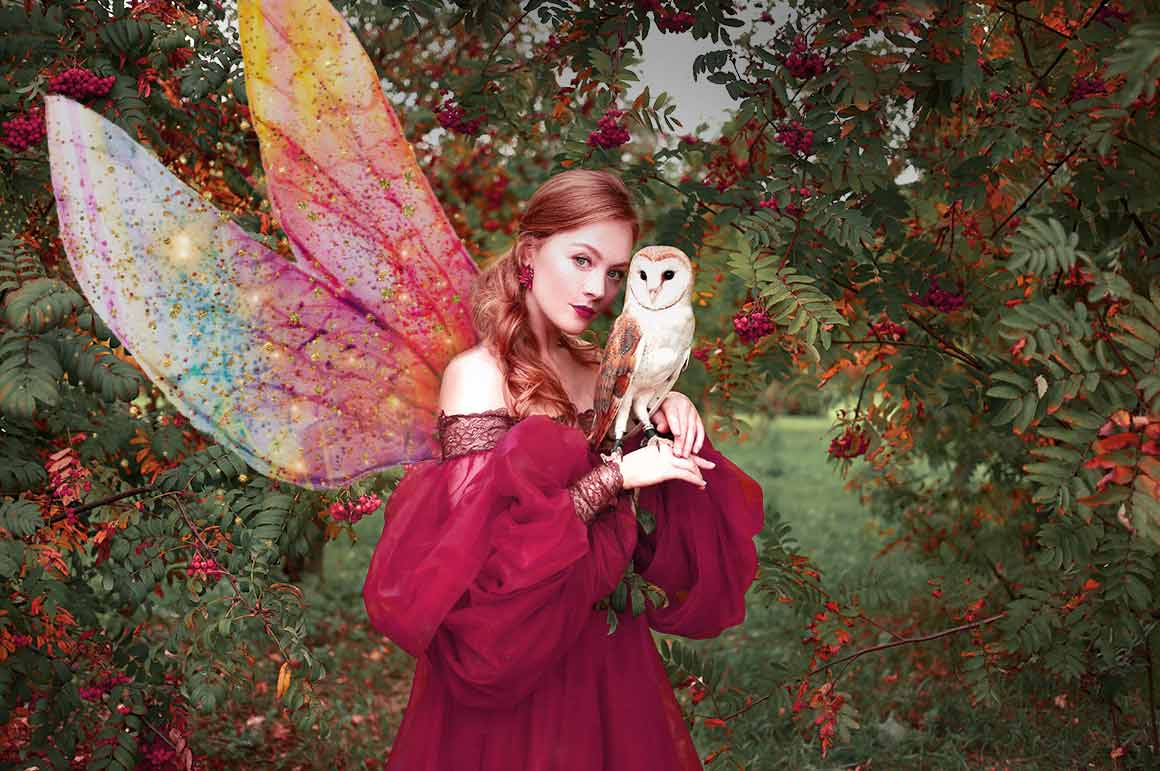 Magical Wings Overlays