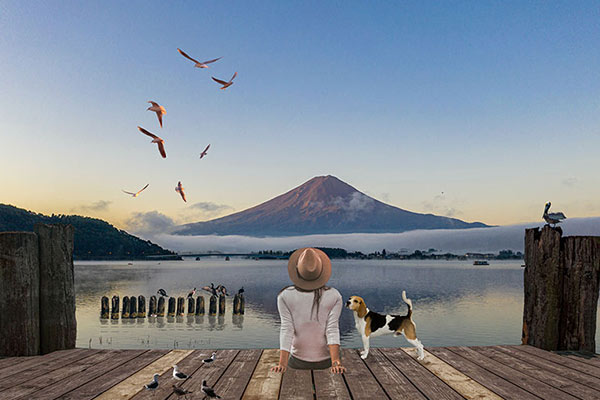 Bird Cutouts