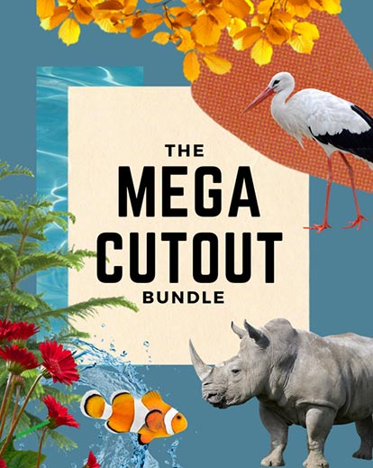 best digital photo editor, cutouts for photoshop