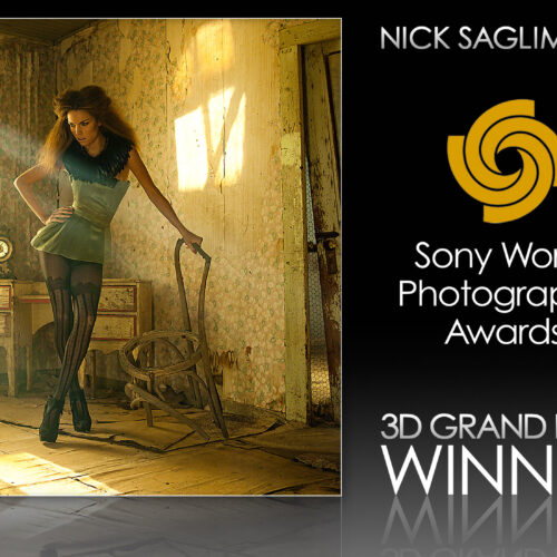 Sony-WPO-Award-Nick-Saglimbeni