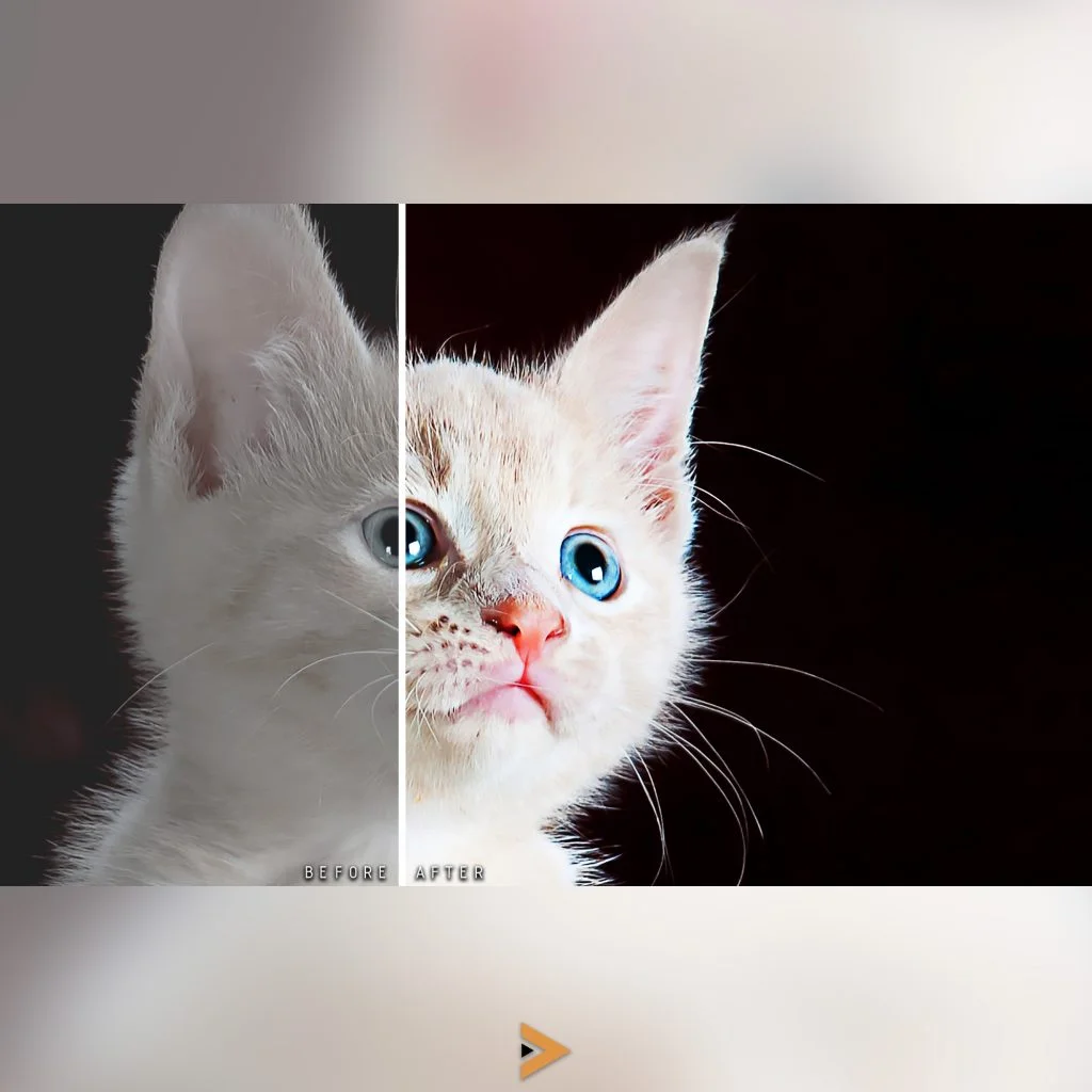 affinity photo, affinity photo presets bundle, presets affinity photo, affinity software bundle, presets bundle