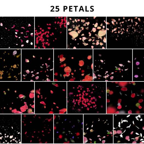 Petals