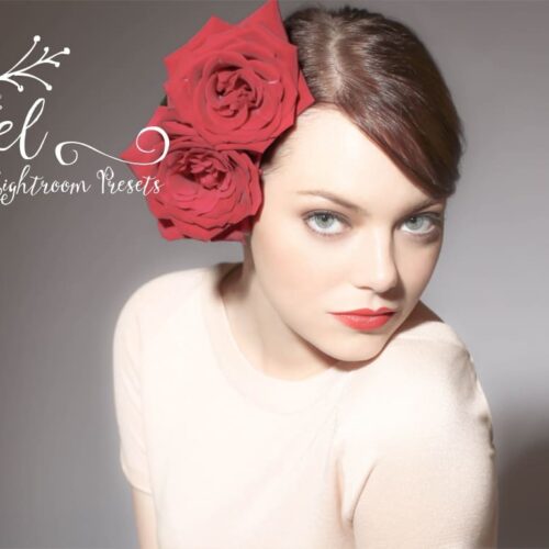 Angel-Lightroom-Presets-Design-mont-graphics-themes-fonts-and-more-2