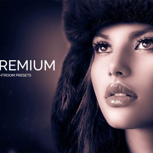 Royal-Black-White-Lightroom-Presets-Design-mont-graphics-themes-fonts-and-more-1-1