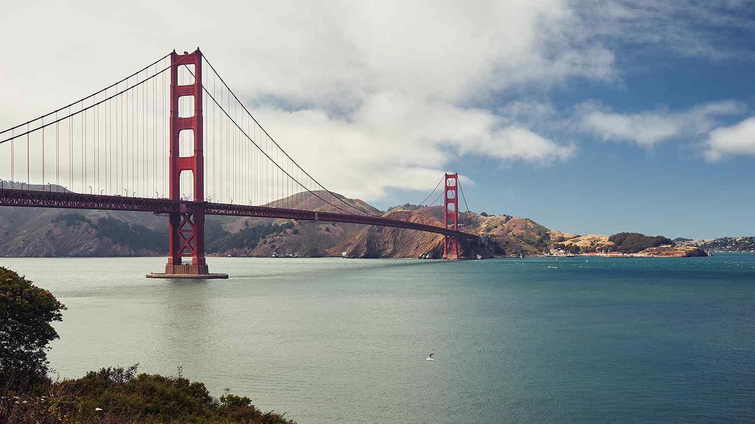 capture one landscape styles