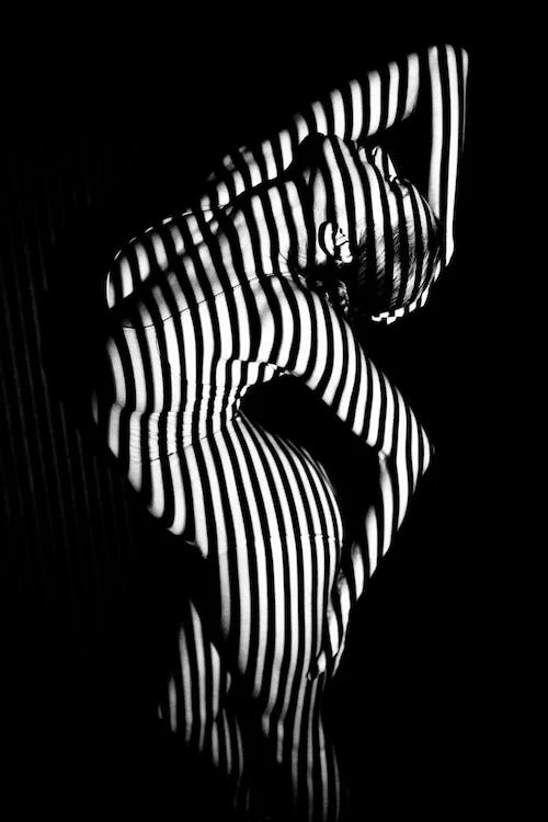 zebra pattern on bodyscape