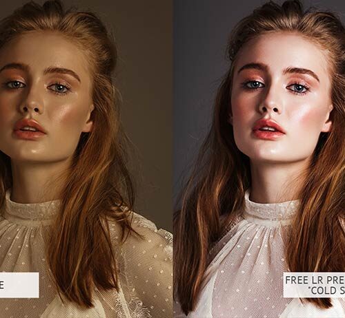 Free-Lr-Preset-Portrait-Cold-Shadows1-min