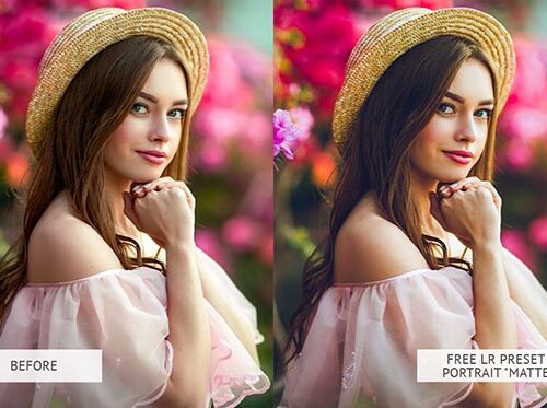 Free-Lr-Preset-Portrait-Matte1-min