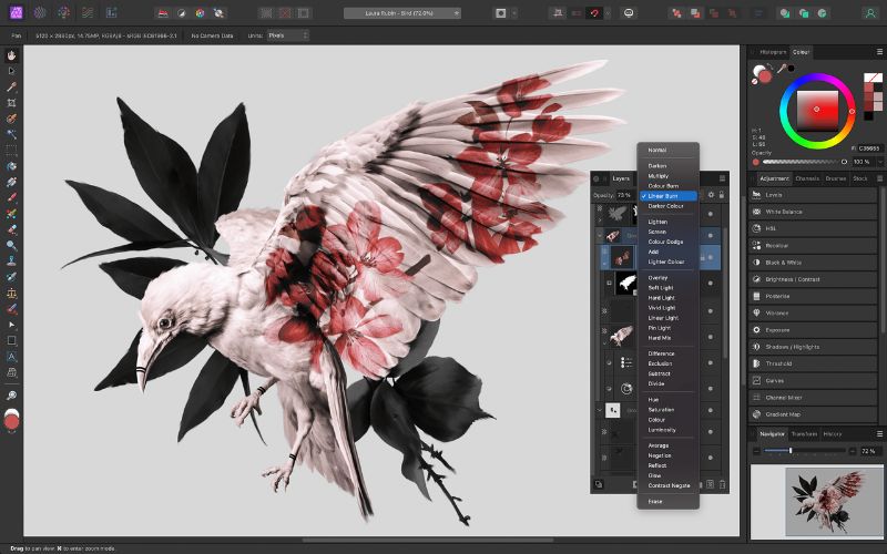 affinity photo software editing