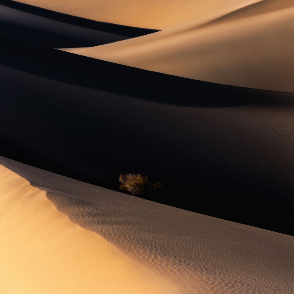 creative photo class by alister benn