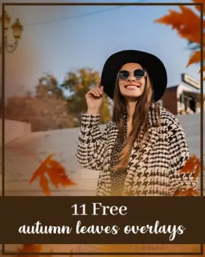 autumn leaves overlays