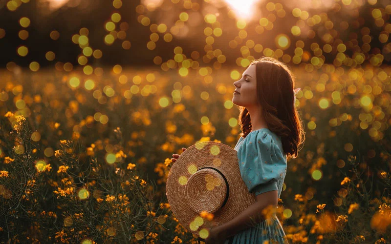 bokeh preview after