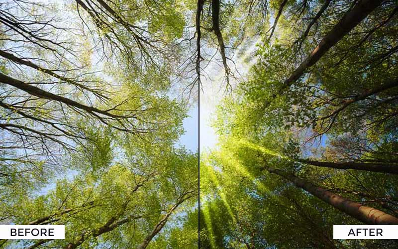lens flare overlays, photography freebies