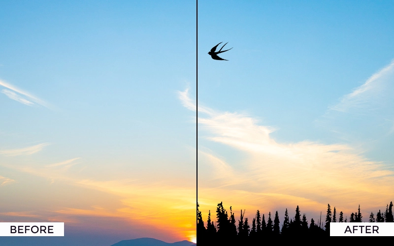 shadow free overlays, free silhouette overlays