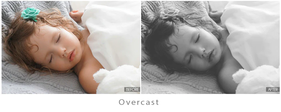 black and white presets lightroom free