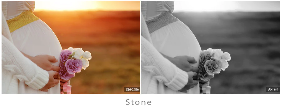 Black and white lightroom presets-stone