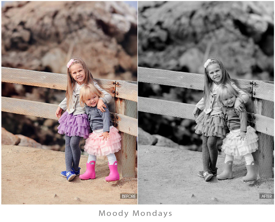 Black and white lightroom presets-Moody monday