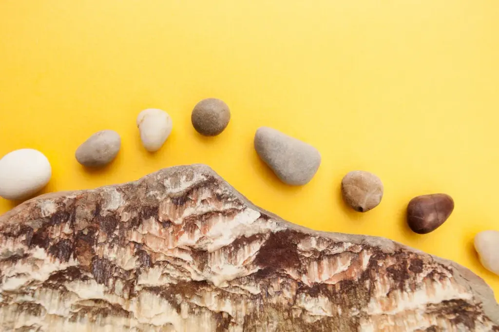 clean backgrounds : minimalist photography idea