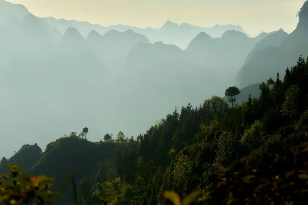 Mountains