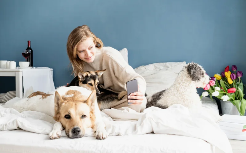 capture with pets dreamy bedroom photoshoot, bedroom photo ideas for Instagram