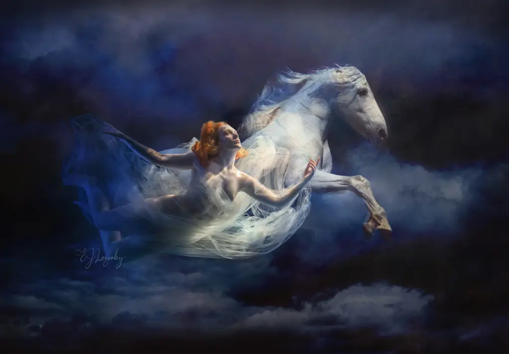 fine art photos