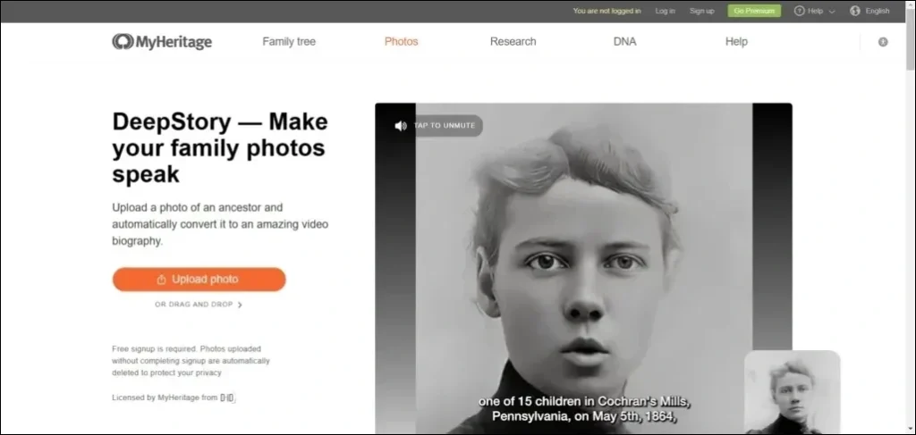 generate deepfake portraits, create AI fake faces, photorealistic AI face generator