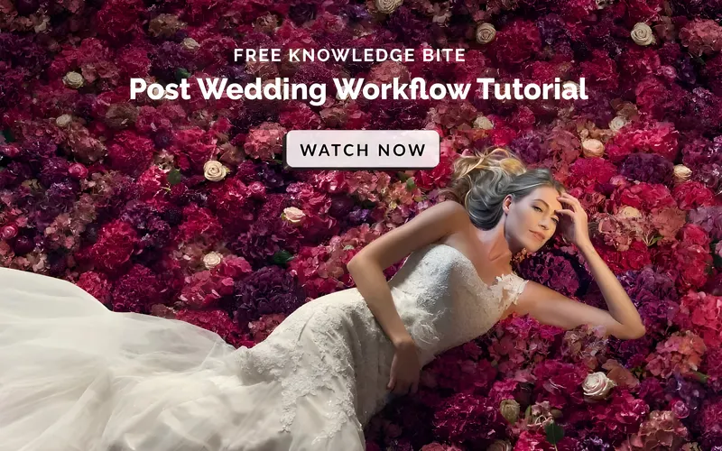 Free knowledge bite - post wedding flow