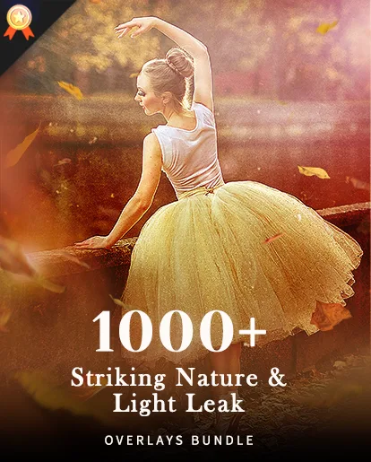 light leak overlays best photography deals