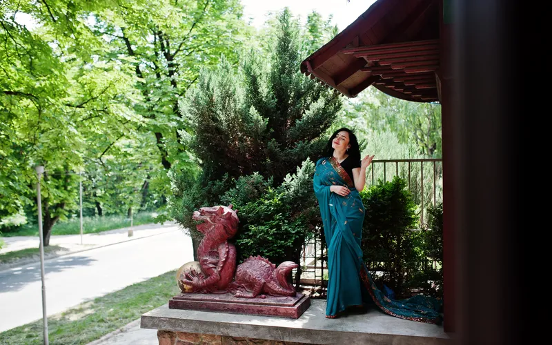 Pregnancy Photoshoot Poses In Saree