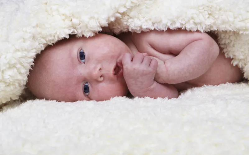 Newborn peeking out from under a cream fluffy blanket with one hand near their mouth